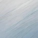 ¿Cómo afectan los plugins de backup a la velocidad del sitio?