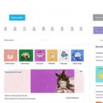 El panel de blog ofrece diseño moderno