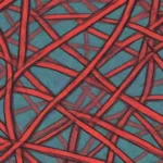 Pasos clave para estructurar contenido en webs de nicho exitosas