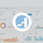WordPress muestra análisis web profesionales