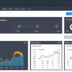 Interfaces digitales profesionales e informativas