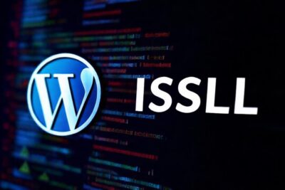 Seguridad digital protegida por WordPress