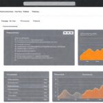 El panel de Wix es profesional e informativo