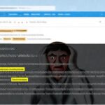 Un correo electrónico confuso genera frustración y errores
