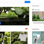 Diseño digital optimiza crecimiento y éxito